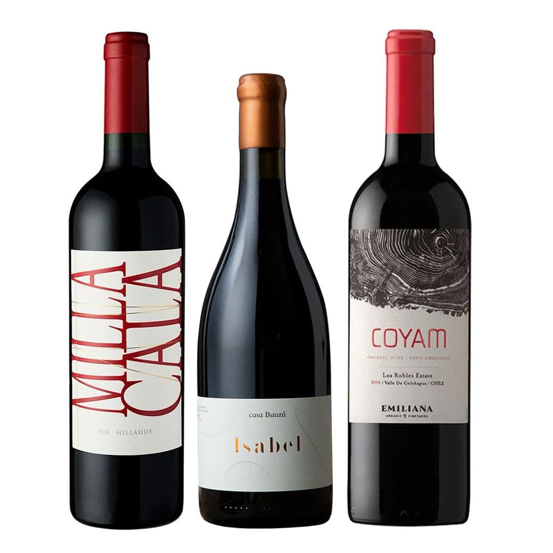 TRIO VIK - BAUZA - COYAM: 1x Vino Vik Milla Cala Ensamblaje 750cc + 1x Vino Orgánico COYAM 750cc + 1x Vino Ícono Casa Bauzá Isabel 750cc_1
