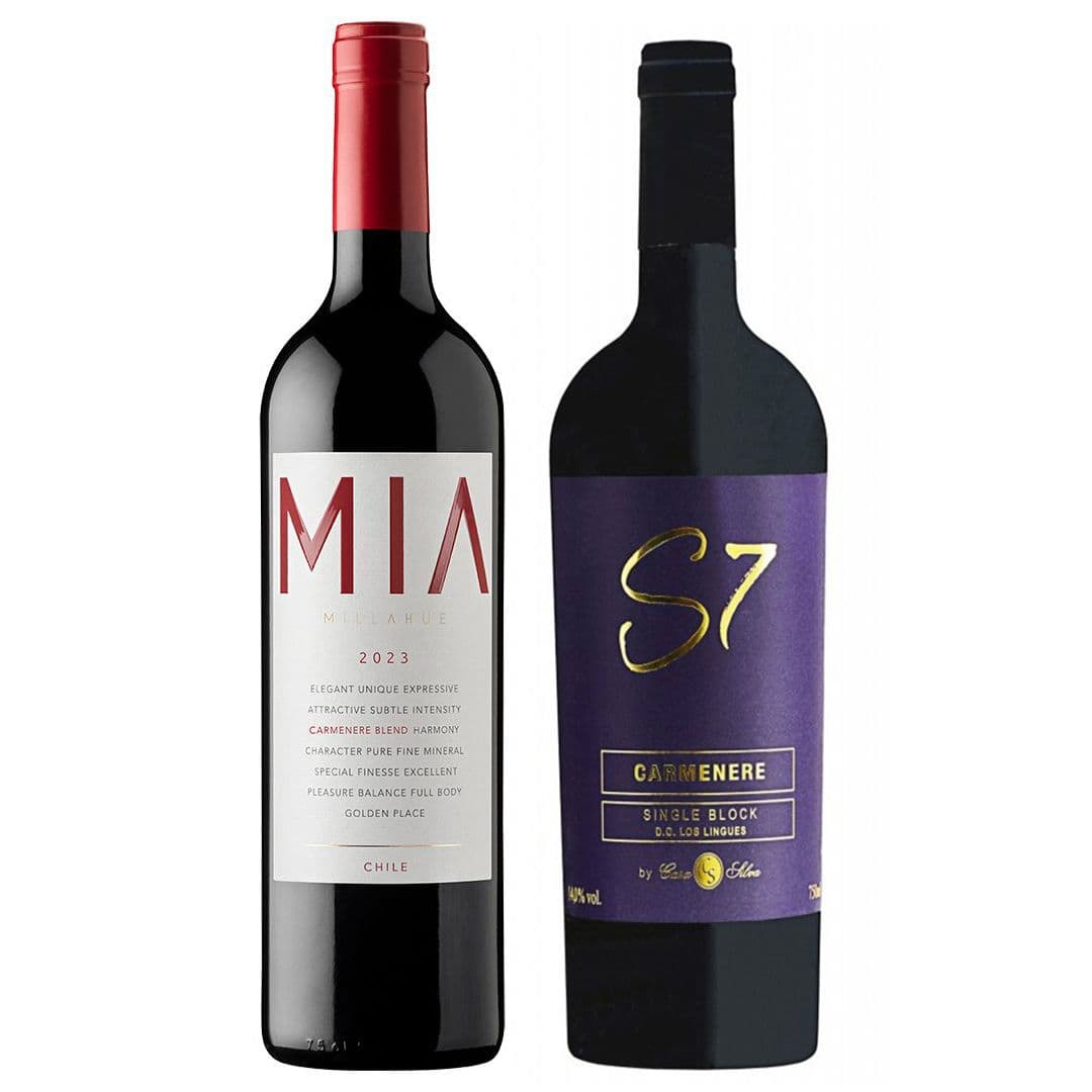DUO VIK - CASA SILVA (S7 Carmenere): 1x Vino VIK MIA Carmenere Blend (2023) 750cc + Vino Casa Silva S7 Single Block Carmenere 750cc_1