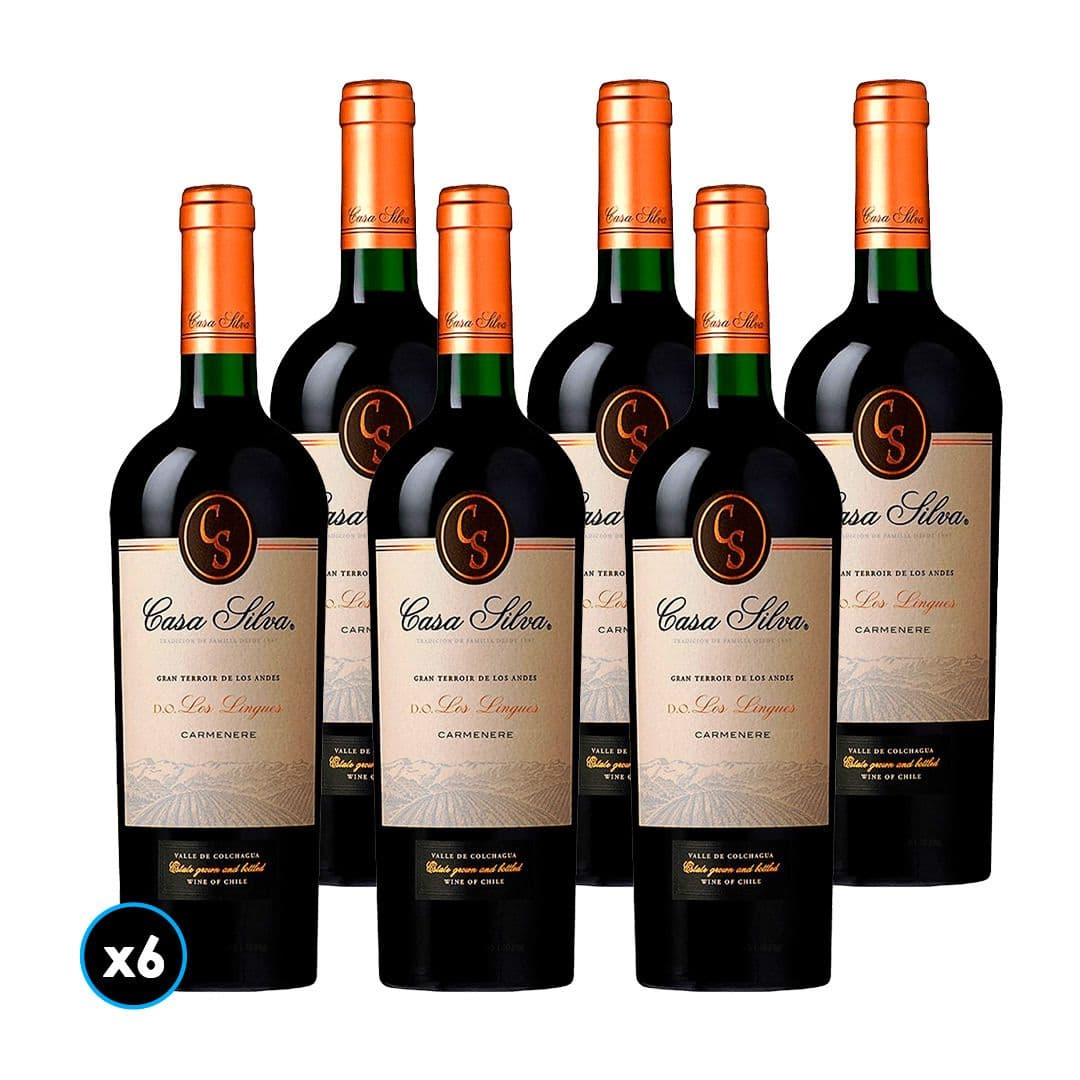CAJA CASA SILVA GRAN TERROIR (Carmenere): 6x Vino Casa Silva Gran Terroir Carmenere 750cc_1