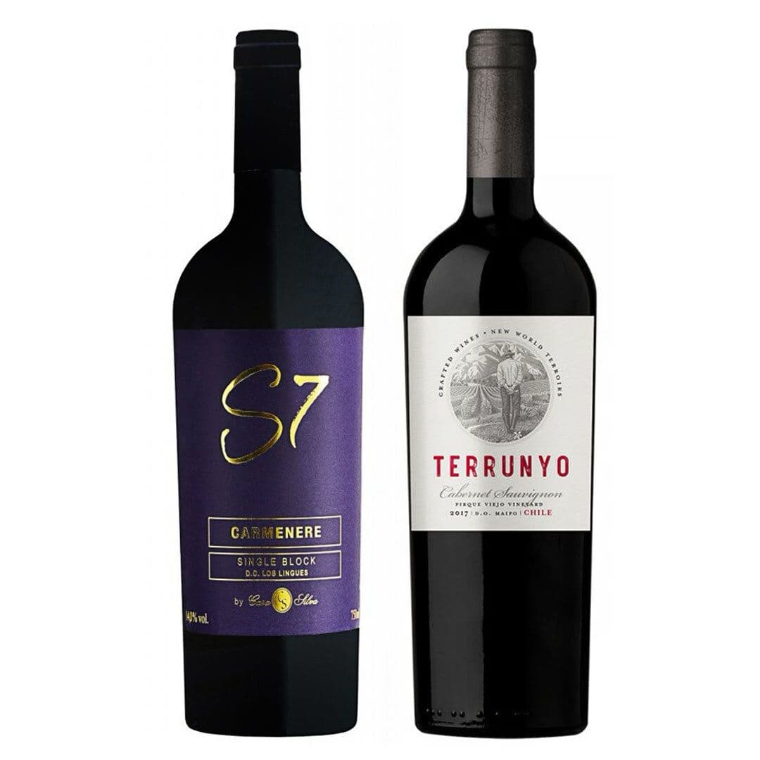 GRAN DUO DE TERRIOR: 1x Vino Casa Silva S7 Single Block Carmenere 750cc + 1x Vino Terrunyo Cabernet Sauvignon 750cc_1
