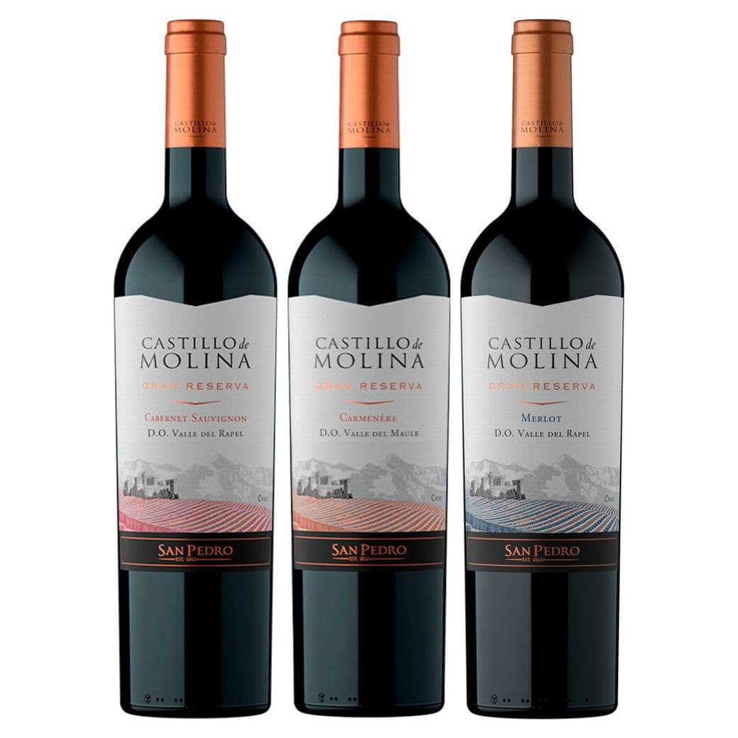 PACK CASTILLO N°2: 1x Vino Castillo de Molina Gran Reserva Cabernet Sauvignon 750cc + 1x Vino Castillo de Molina Gran Reserva Carmenere 750cc + 1x Vino Castillo de Molina Gran Reserva Merlot 750cc_1