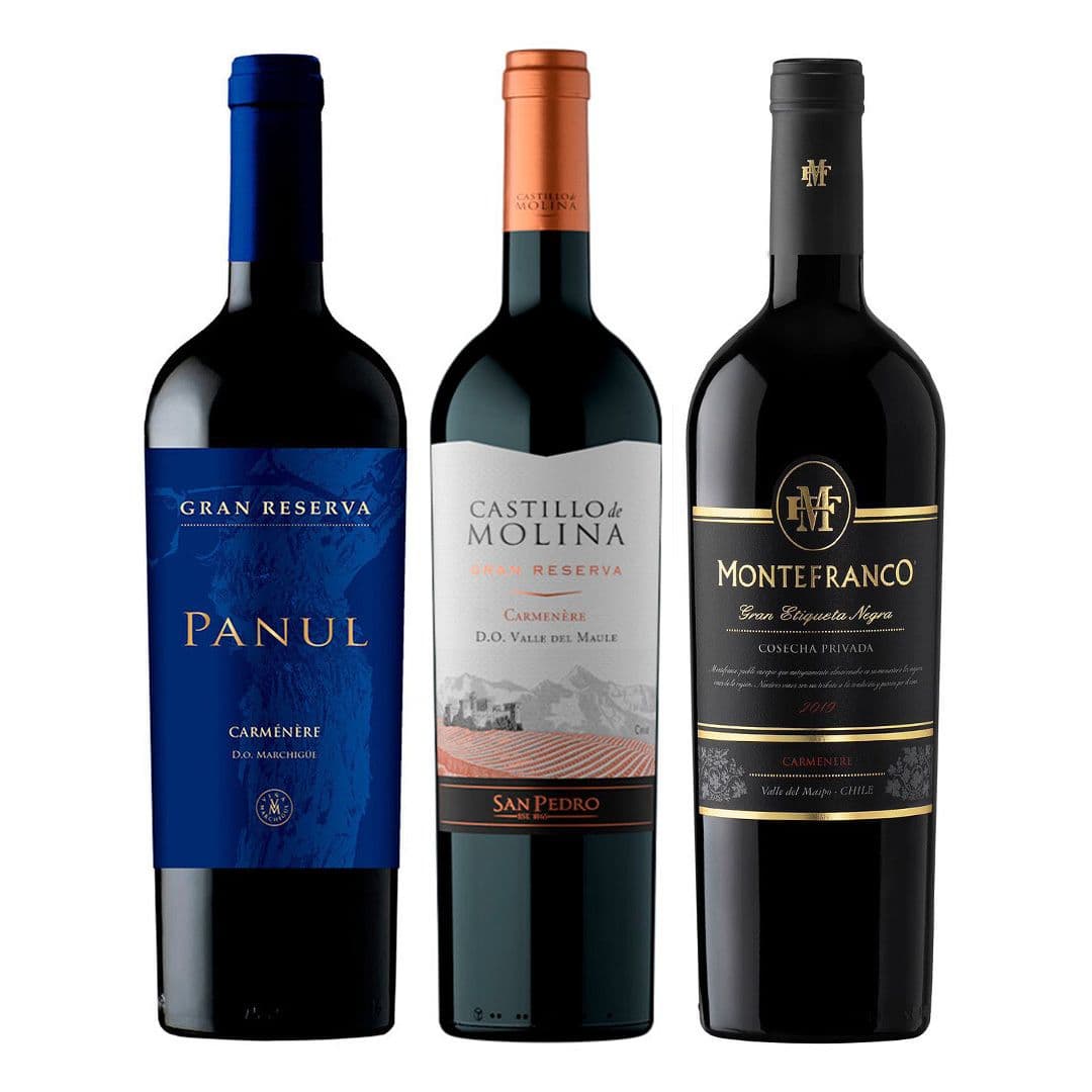 PACK TRIO GR (Carmenere): Vino Panul Gran reserva Carmenere 750cc + Vino MonteFranco Gran Etiqueta Negra Carmenere 750cc + Vino Castillo de Molina Gran Reserva Carmenere 750cc_1