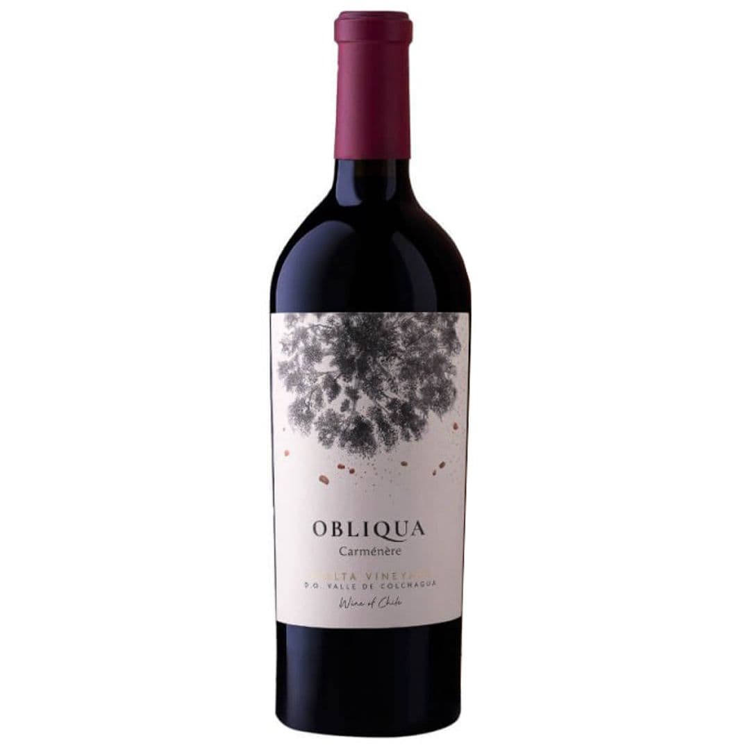 Vino Ventisquero Obliqua Carmenere 750cc_1