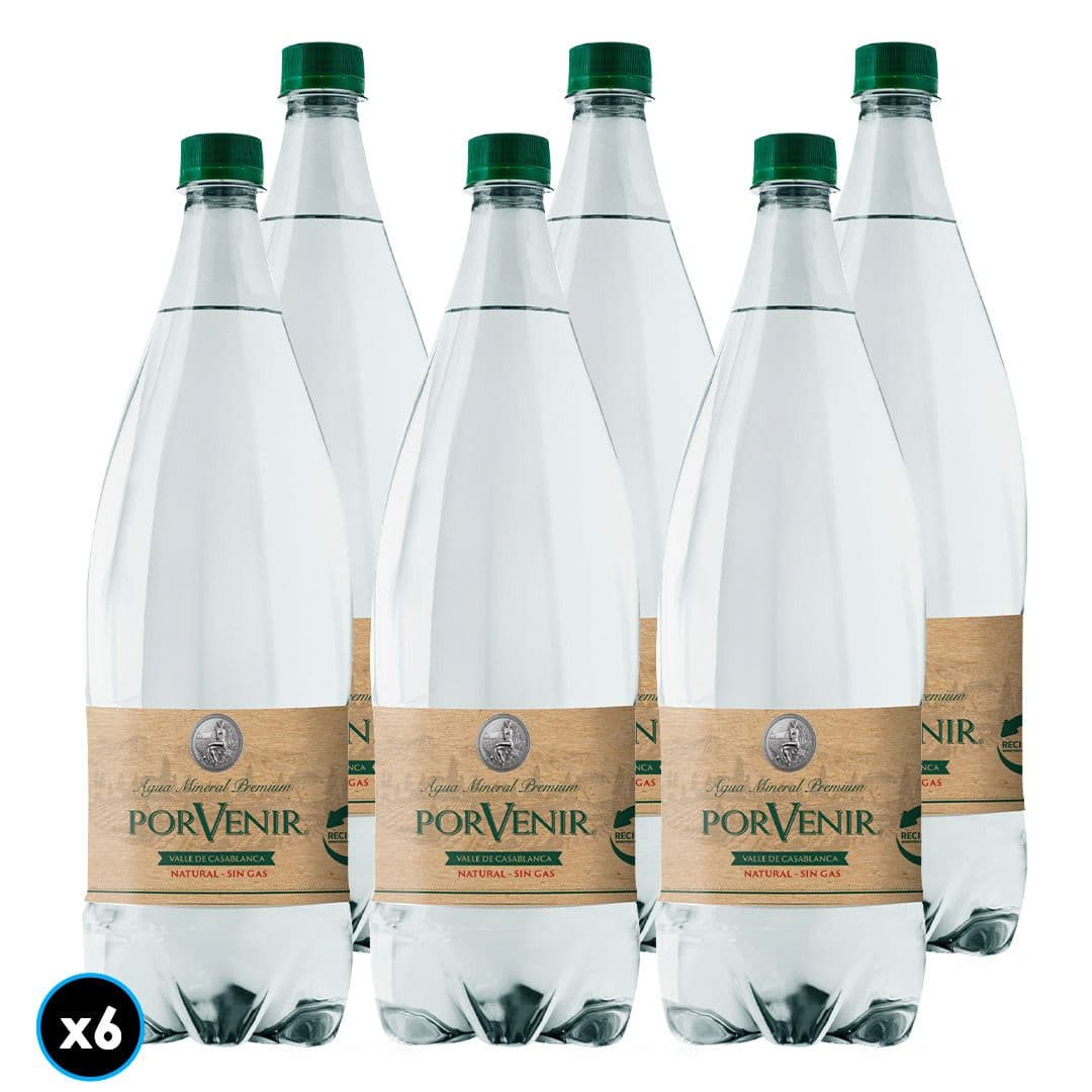 6x Agua Mineral Porvenir Sin Gas 1.5 L _1