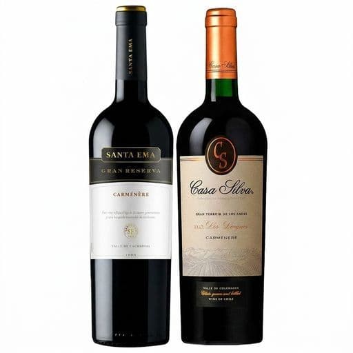 DUO SANTA EMA - CASA SILVA: 1x Vino Santa Ema Gran Reserva Carmenere 750cc + 1x Vino Casa Silva Gran Terroir Carmenere 750cc_1