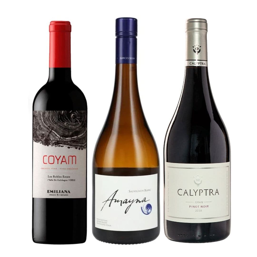 TRIO COYAM - AMAYNA - CALYPTRA: 1x Vino Orgánico COYAM 750cc + 1x Vino Garcés Silva Amayna Sauvignon Blanc 750cc + 1x Vino Calyptra Gran Pinot Noir 750cc_1