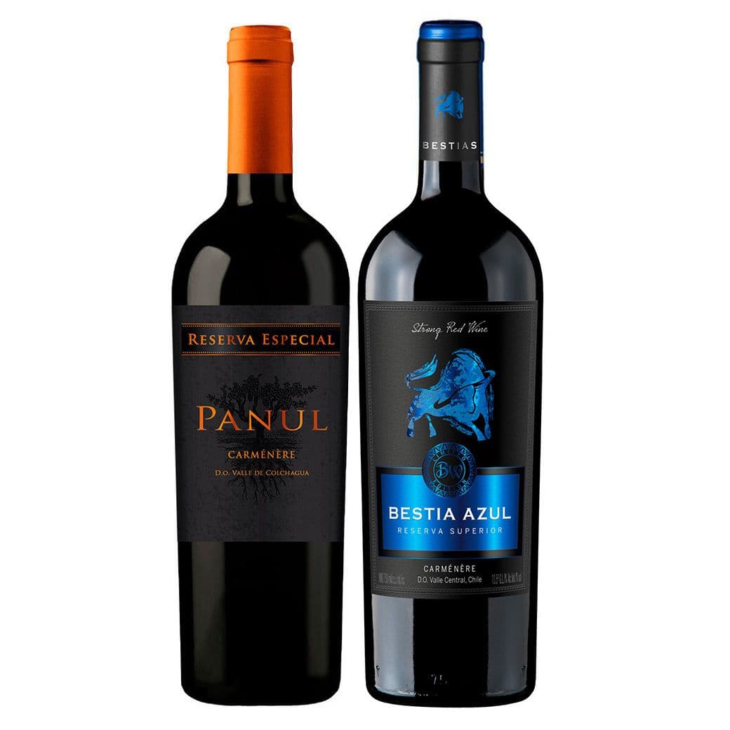 PACK DUO RESERVA (Carmenere): Vino Panul Reserva Especial Carmenere 750cc + Vino Bestia Azul Carmenere 750cc_1