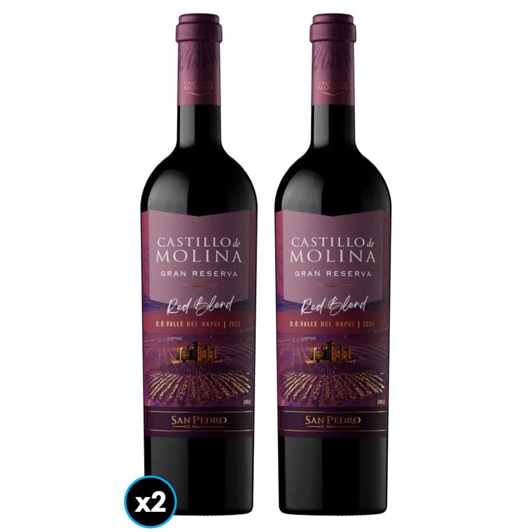 2x Vino Castillo de Molina Red Blend 750cc_1