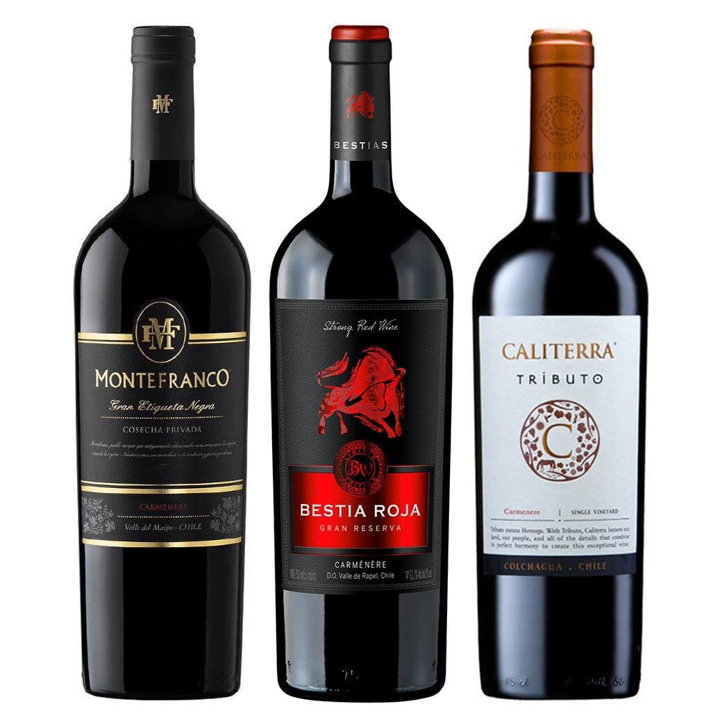 PACK 3 CARMENERE (Gran Reserva): Vino MonteFranco Gran Etiqueta Negra Carmenere 750cc + Vino Bestia Roja Gran Reserva Carmenere 750cc + Vino Caliterra Tributo Carmenere 750cc_1