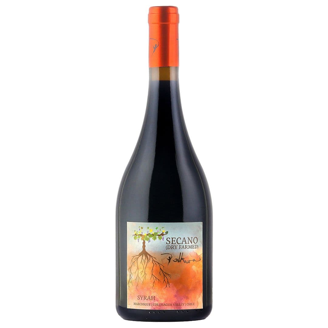 Vino Polkura Secano Syrah 750cc_1