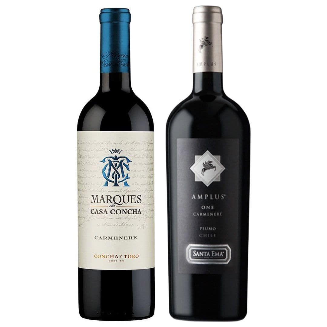 PACK DÚO VINOS N°9: 1x Vino Marques de Casa Concha Carmenere 750cc + 1x Vino Santa Ema Amplus Carmenere 750cc_1