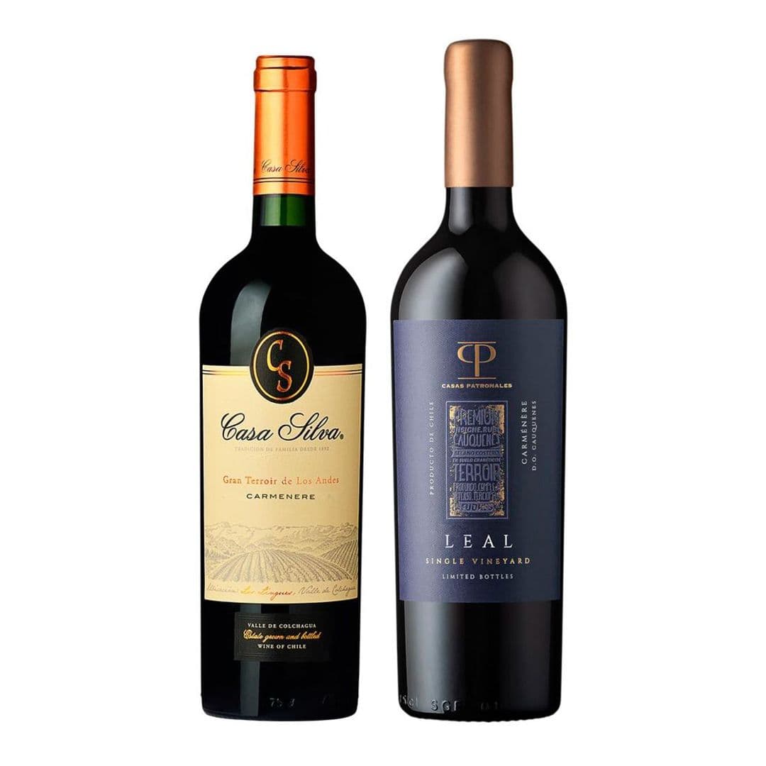 DUO LEAL - GRAN TERROIR: 1x Vino Casas Patronales Leal Carmenere 750cc + 1x Vino Casa Silva Gran Terroir Carmenere 750cc_1
