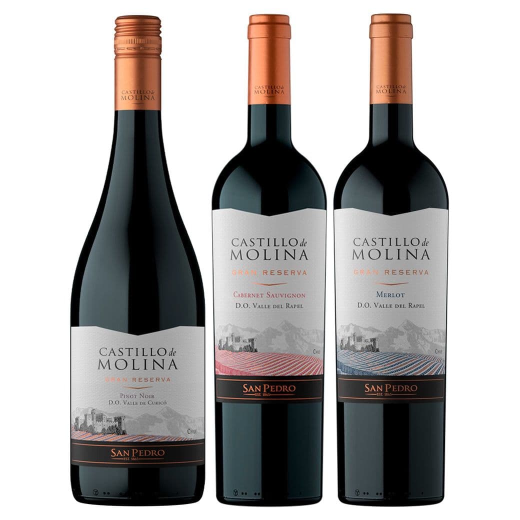 PACK CASTILLO N°3: 1x Vino Castillo de Molina Gran Reserva Pinot Noir 750cc + 1x Vino Castillo de Molina Gran Reserva Cabernet Sauvignon 750cc + 1x Vino Castillo de Molina Gran Reserva Merlot 750cc_1