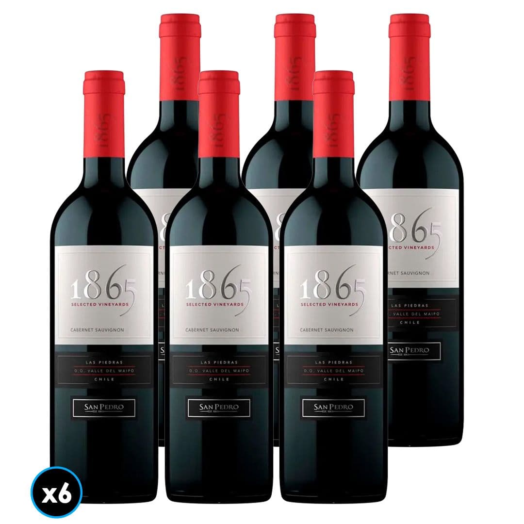 CAJA 1865 SINGLE VINEYARD (Cabernet Sauvignon): 6x Vino 1865 Single Vineyard Cabernet Sauvignon 750cc_1