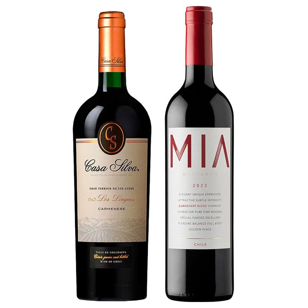 DUO VIK - CASA SILVA (Gran Terroir Carmenere): 1x Vino VIK MIA Carmenere Blend (2023) 750cc + 1x Vino Casa Silva Gran Terroir Carmenere 750cc_1