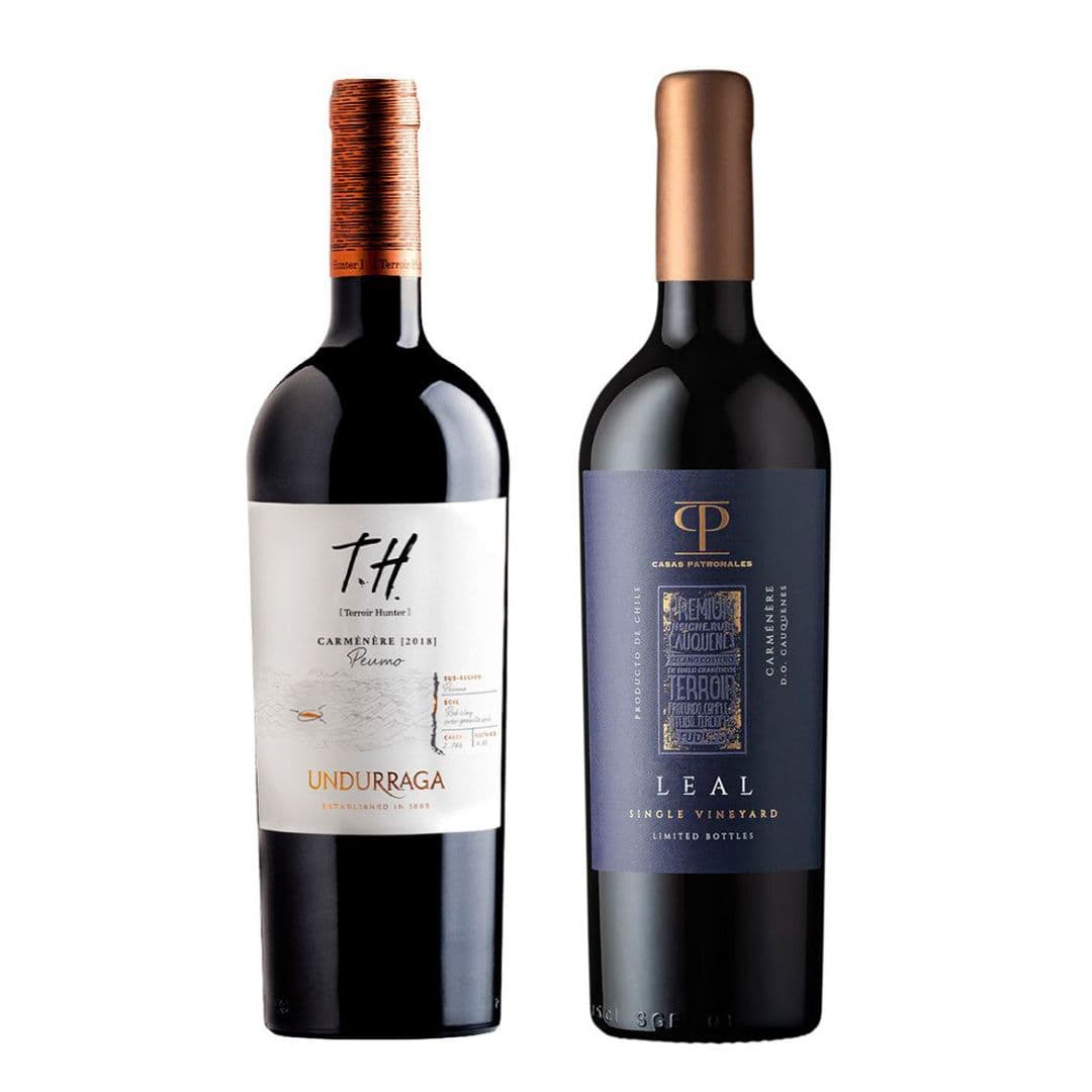DUO LEAL - TH: 1x Vino Undurraga TH Peumo Carmenere 750cc + 1x Vino Casas Patronales Leal Carmenere 750cc_1