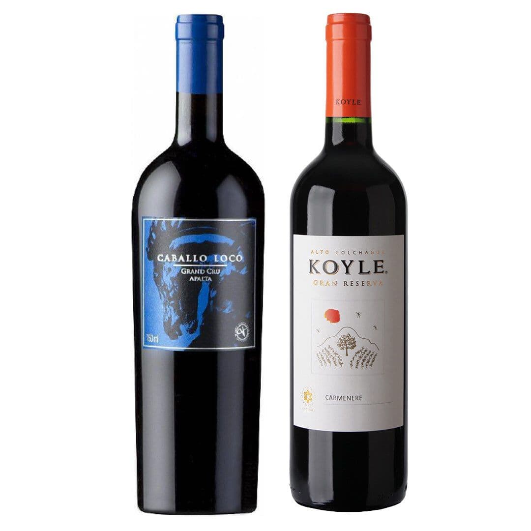 DUO CABALLO LOCO - KOYLE: 1x Vino Caballo Loco Grand Cru Apalta 750cc + 1x Vino Koyle Gran Reserva Carmenere 750cc_1