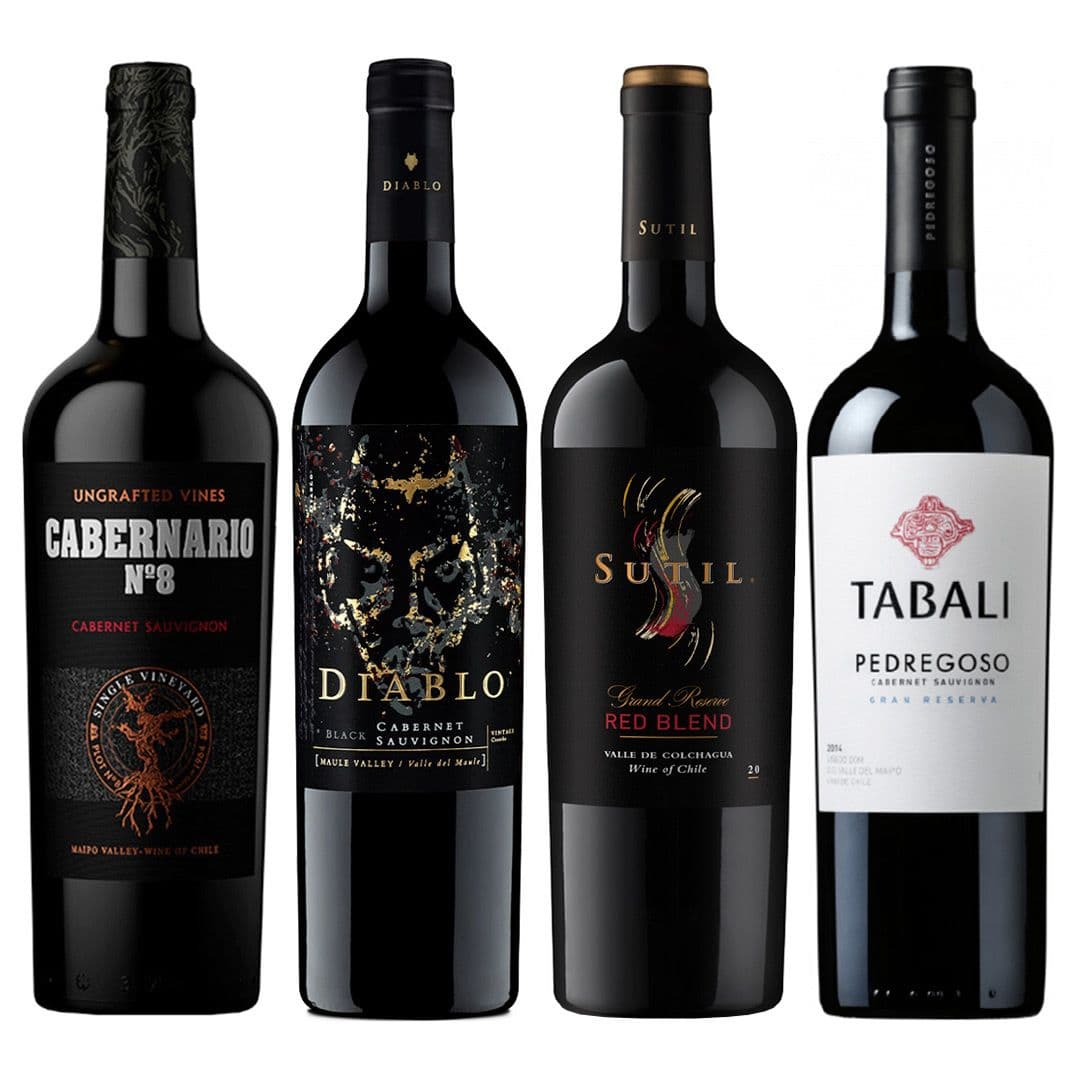 PACK MIX BLEND N°3: 1x Vino Cabernario Black Blend 750cc + 1x Vino Diablo Black Cabernet Sauvignon 750cc + 1x Vino Sutil Gran Reserva Red Blend 750cc + 1x Vino Tabali Pedregoso Gran Reserva Cabernet Sauvignon 750cc_1