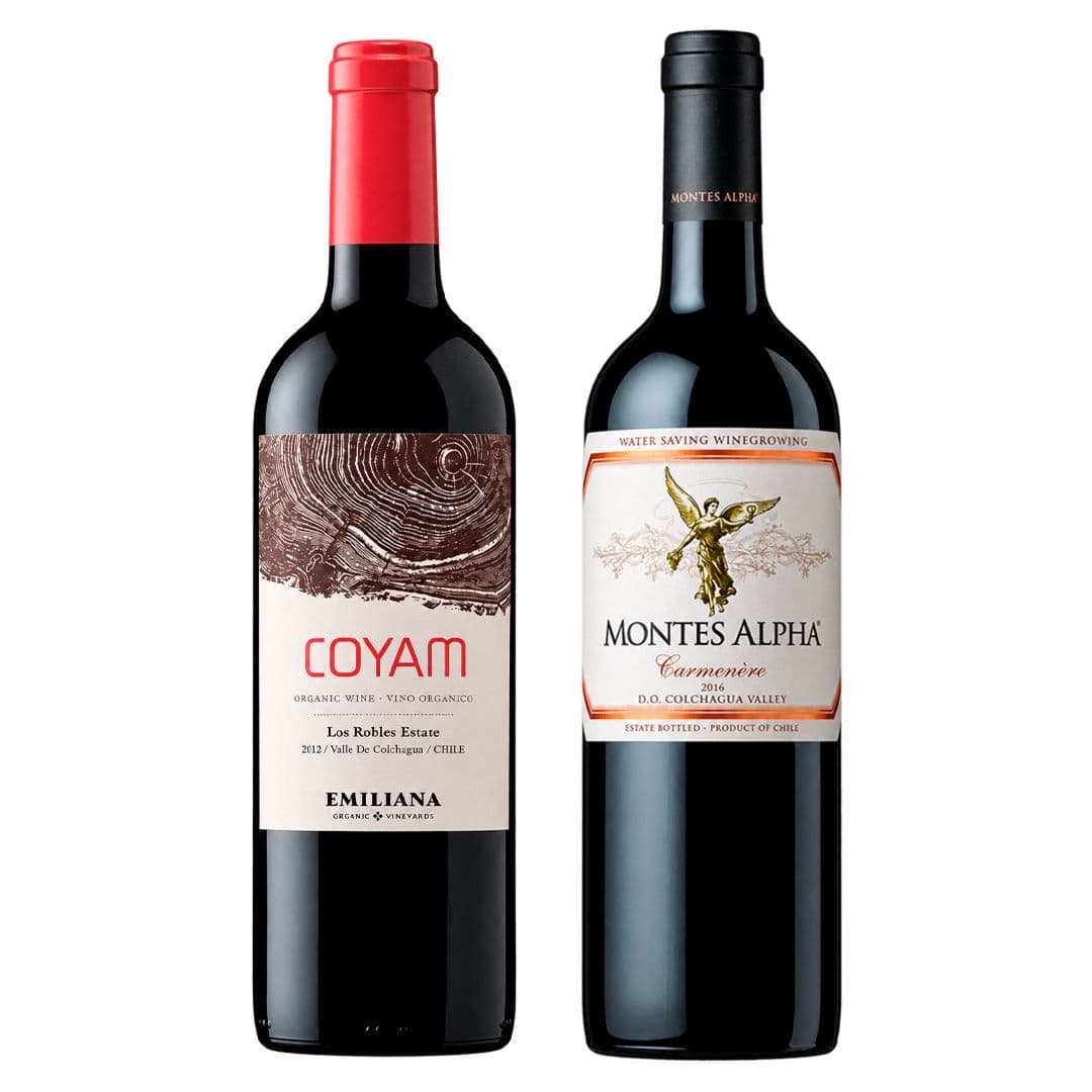 GRAN DUO COYAM - MONTES ALPHA: 1x Vino Orgánico COYAM 750cc + 1x Vino Montes Alpha Carmenere 750cc_1