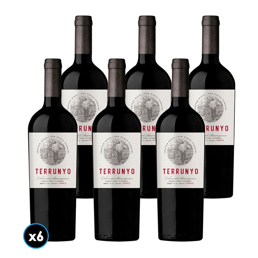 CAJA TERRUNYO (Cabernet Sauvignon): 6x Vino Terrunyo Cabernet Sauvignon 750cc_1
