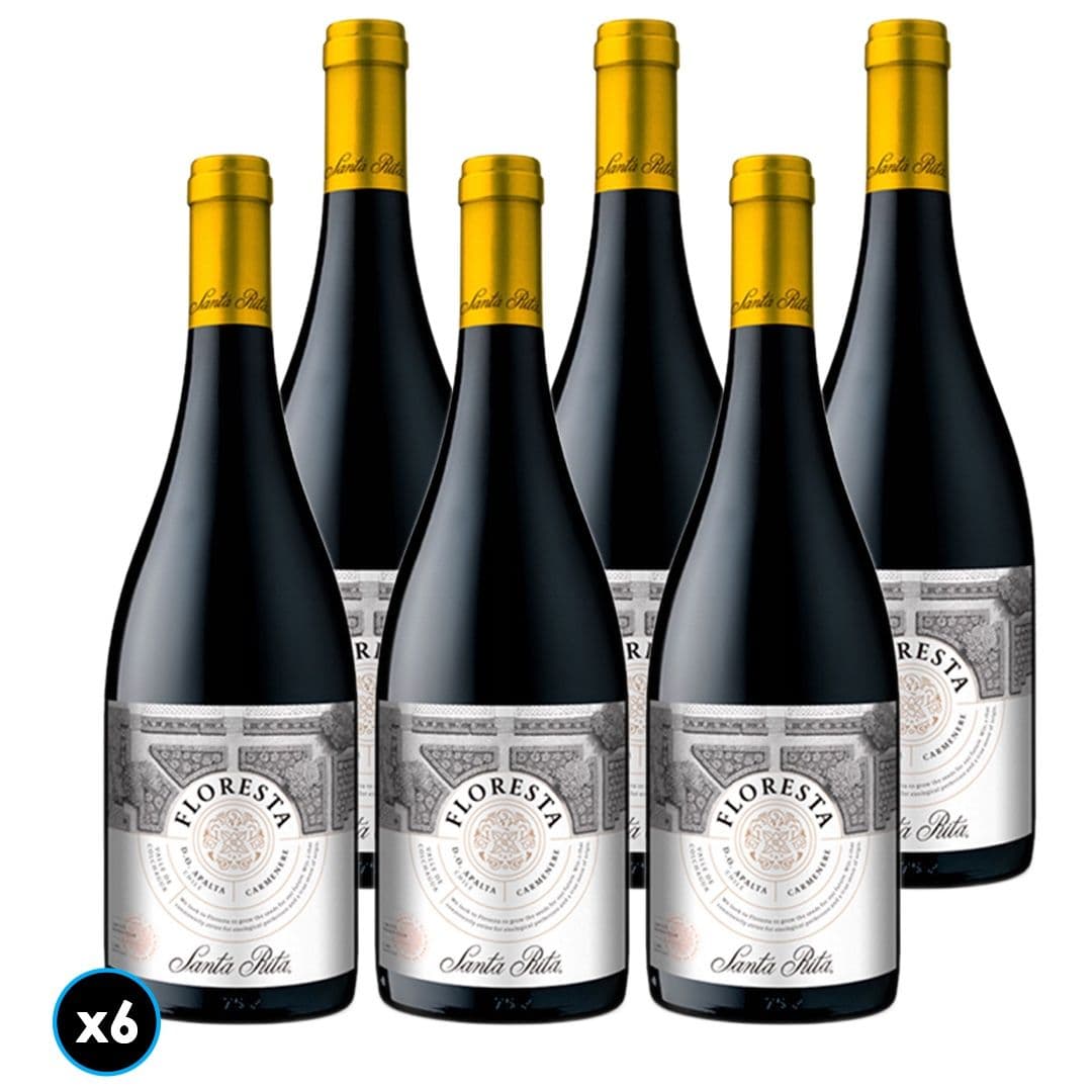 6x Vino Floresta Carmenere 750cc_1