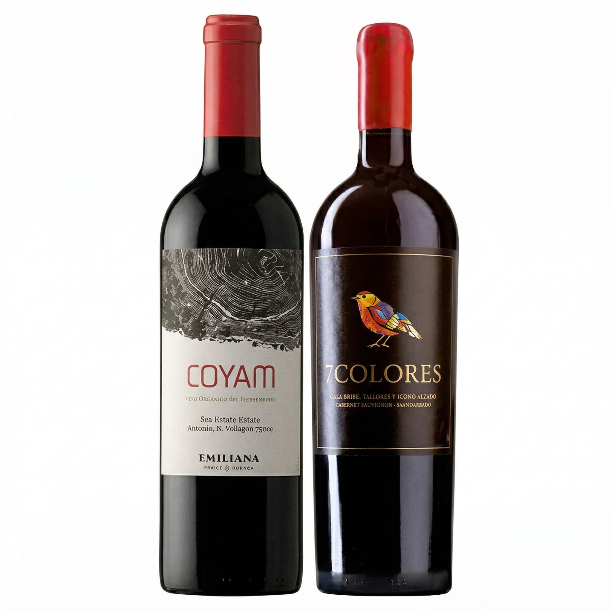 DUO COYAM - 7 COLORES: 1x Vino Orgánico COYAM 750cc + 1x Vino 7 Colores Icono Alzado Cabernet Sauvignon 750cc_1