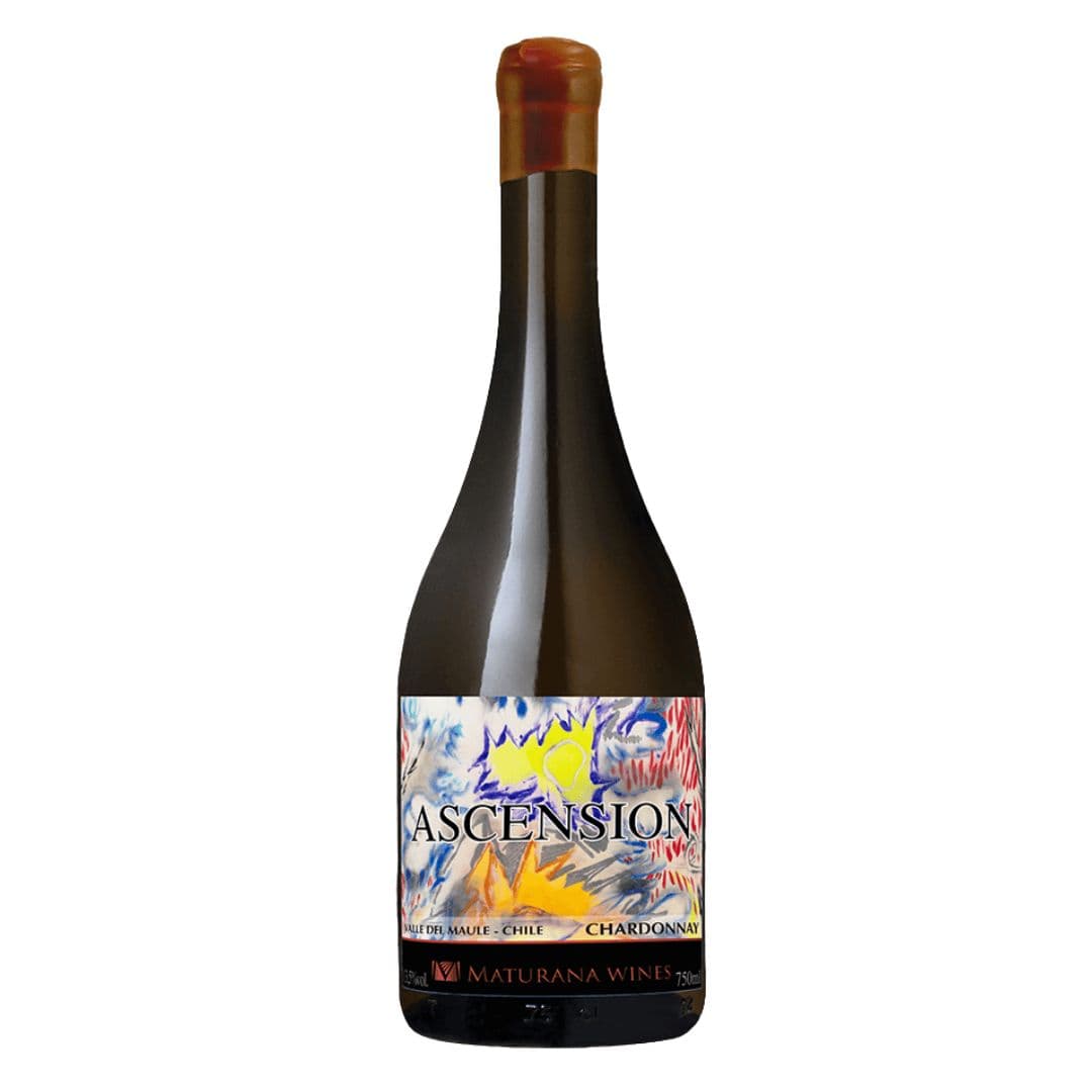 Vino Maturana Ascencion Chardonnay 750cc_1
