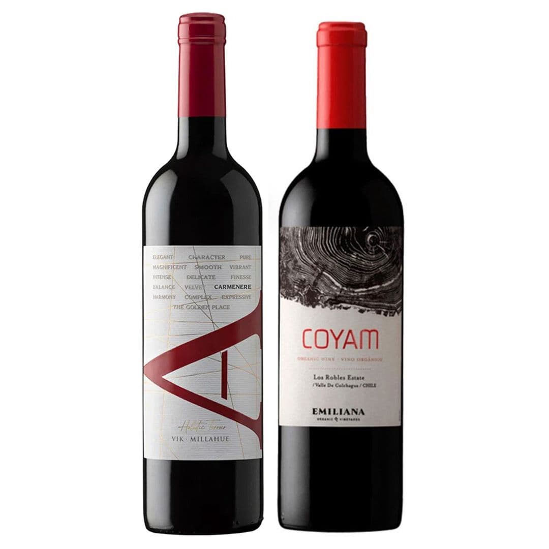DUO COYAM - VIK A: 1x Vino VIK A Carmenere 750cc + 1x Vino Orgánico COYAM 750cc_1