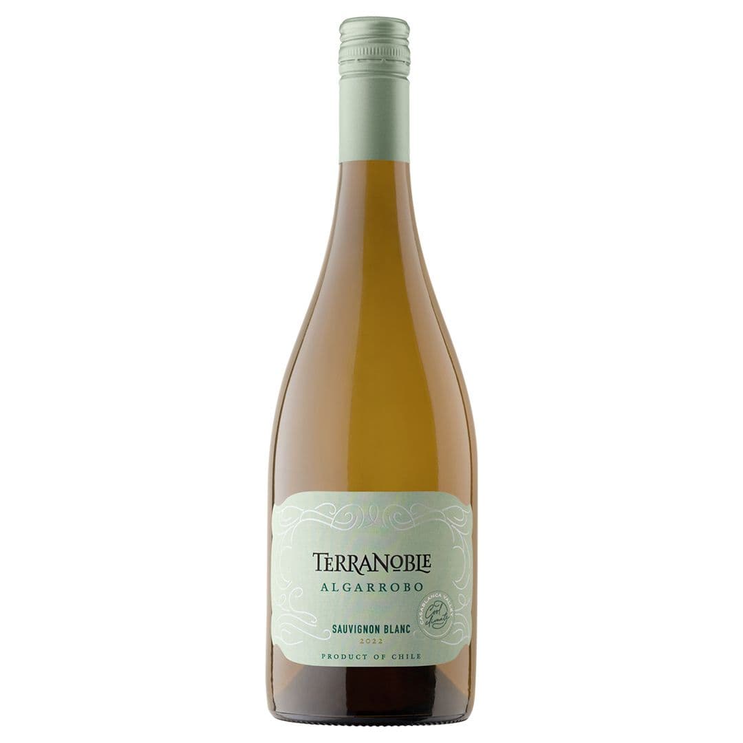 Vino Terranoble Algarrobo Sauvignon Blanc 750cc _1