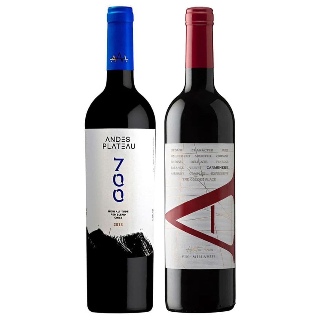 DUO VIK - ANDES PLATEAU: 1x Vino VIK A Carmenere 750cc + 1x Vino Andes Plateau 700 High Altitude Red Blend 750cc_1