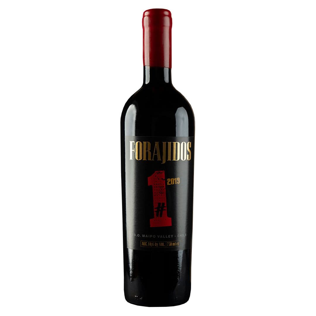 Vino Forajidos #1 Ensamblaje 750cc_1