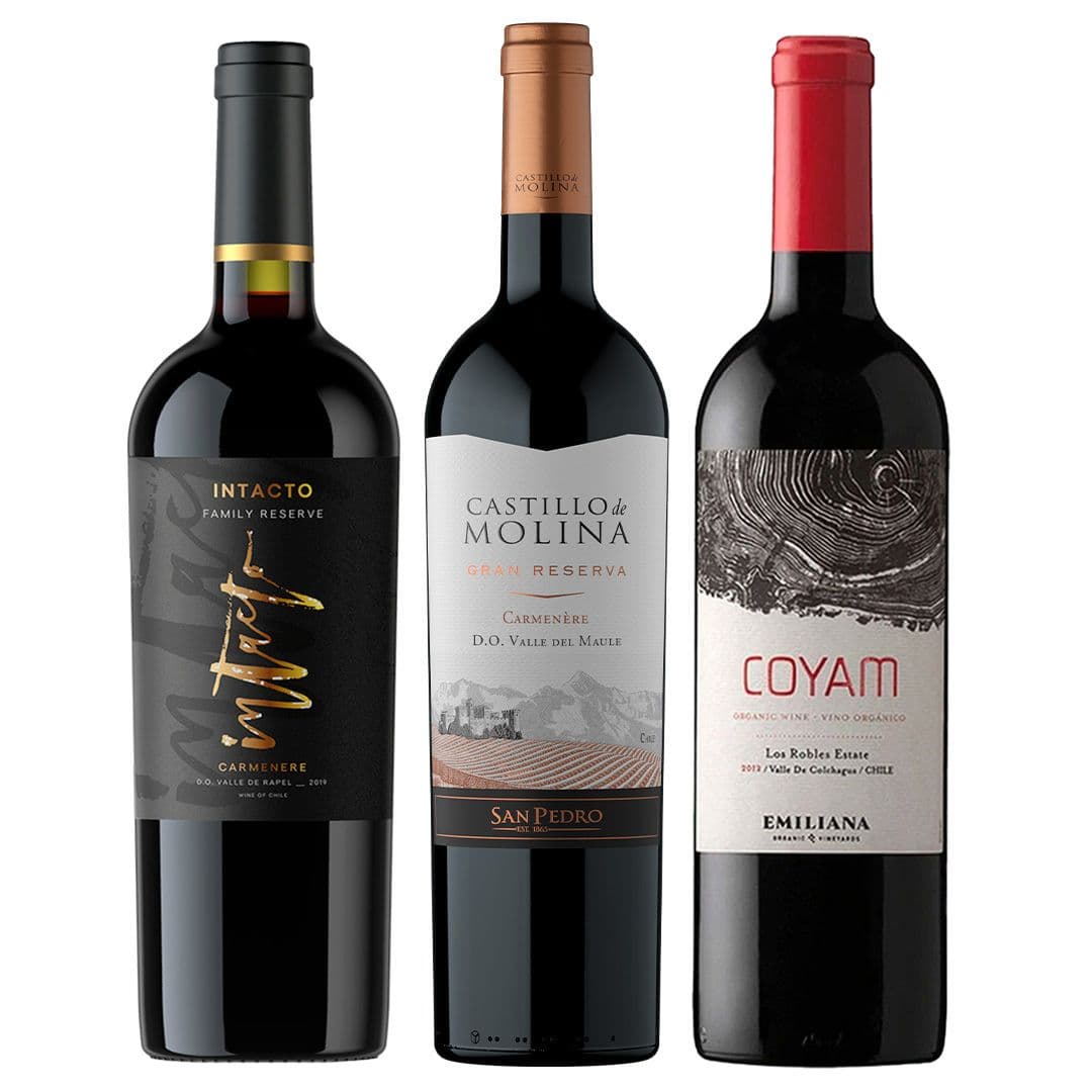 PACK INTACTO N°3: 1x Vino Miravalle Intacto Family Reserve Carmenere 750cc + 1x Vino Castillo de Molina Gran Reserva Carmenere 750cc + 1x Vino Orgánico COYAM 750cc_1