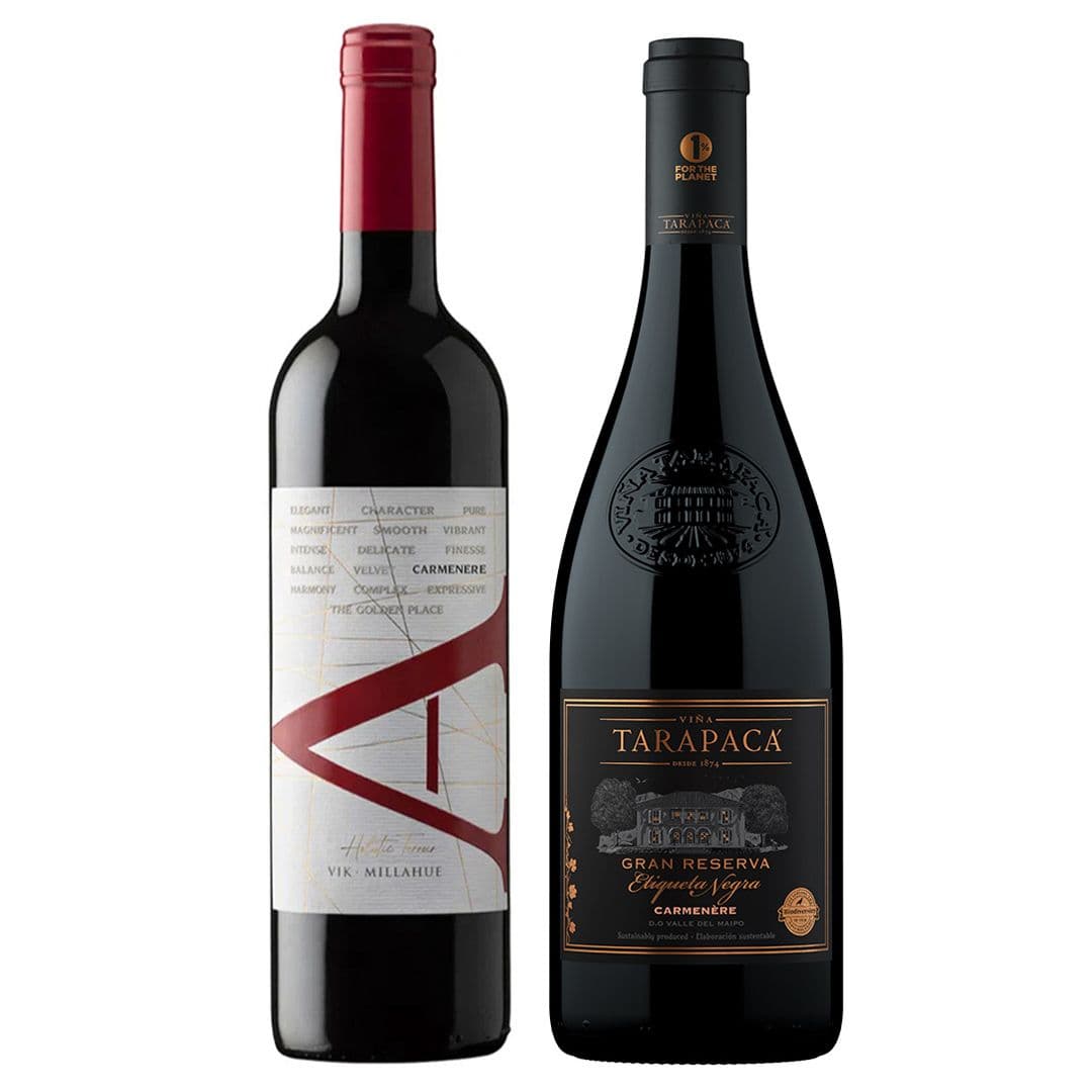 DUO PREMIUM VIK - TARAPACA ETQ. NEGRA (Carmenere): 1x Vino VIK A Carmenere 750cc + 1x Vino Tarapacá Etiqueta Negra Carmenere 750cc_1
