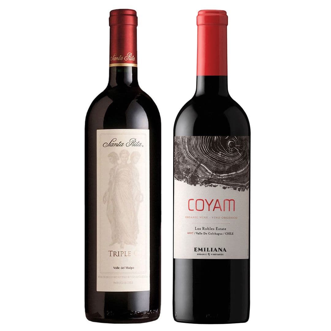 DUO COYAM - TRIPLE C: 1x Vino Orgánico COYAM 750cc + 1x Vino Triple C 750cc_1