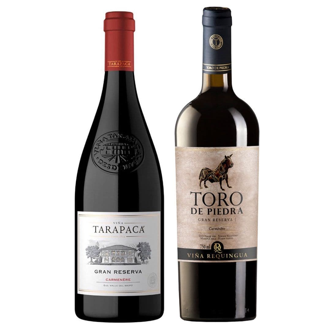 PACK DUO VINOS Nº8: Vino Tarapacá Gran Reserva Carmenere 750cc + Vino Toro de Piedra Gran Reserva Carmenere 750cc_1