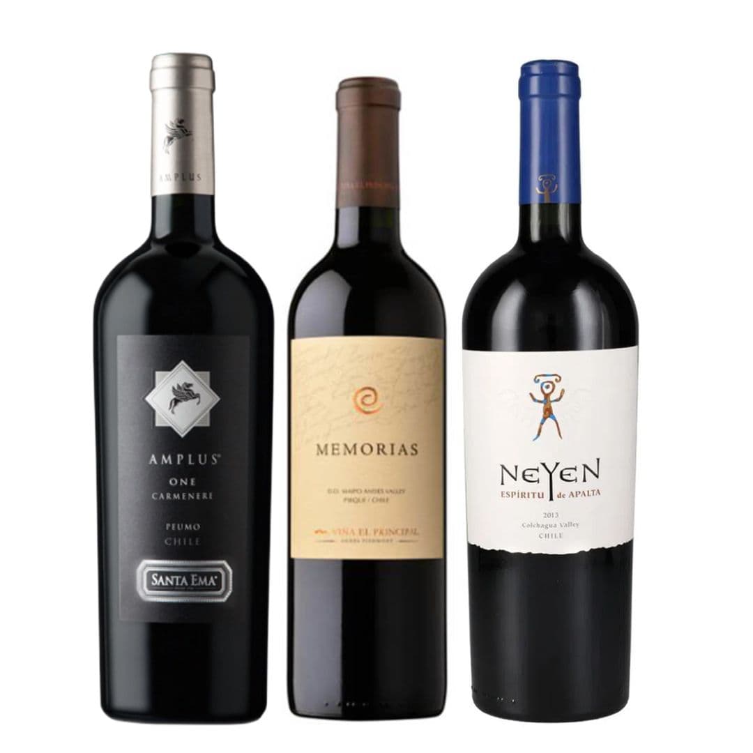 TRIO NEYEN - AMPLUS - MEMORIAS: 1x Vino Ícono Neyen de Apalta Blend 750cc + 1x Vino El Principal Memorias Ensamblaje 750cc + 1x Vino Santa Ema Amplus Carmenere 750cc_1