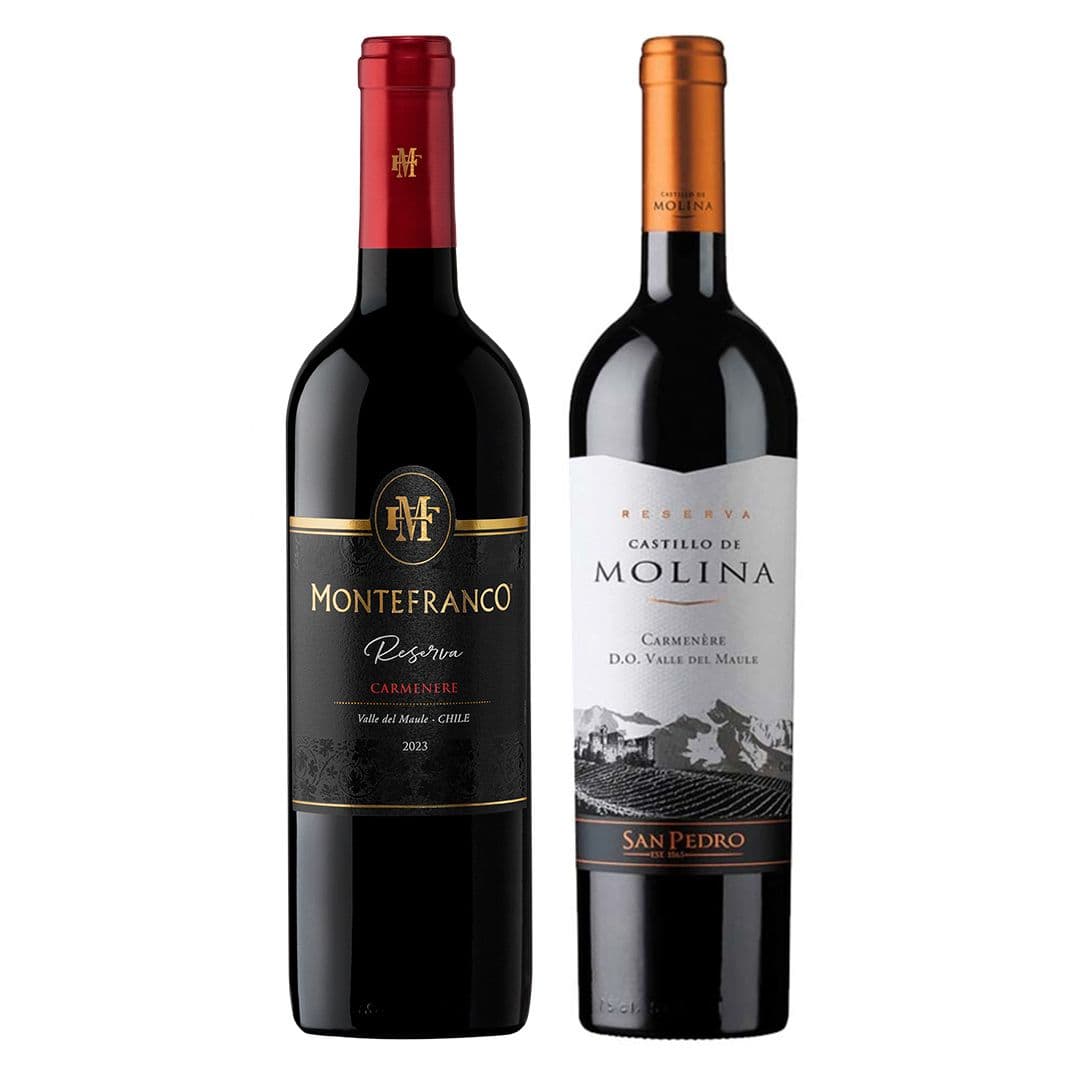 1x Vino MonteFranco Reserva Carmenere 750cc + 1x Vino Castillo de Molina Reserva Carmenere 750cc_1
