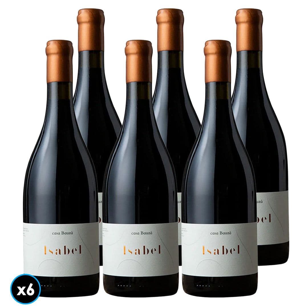 CAJA ÍCONO CASA BAUZÁ (Isabel): 6x Vino Ícono Casa Bauzá Isabel 750cc_1