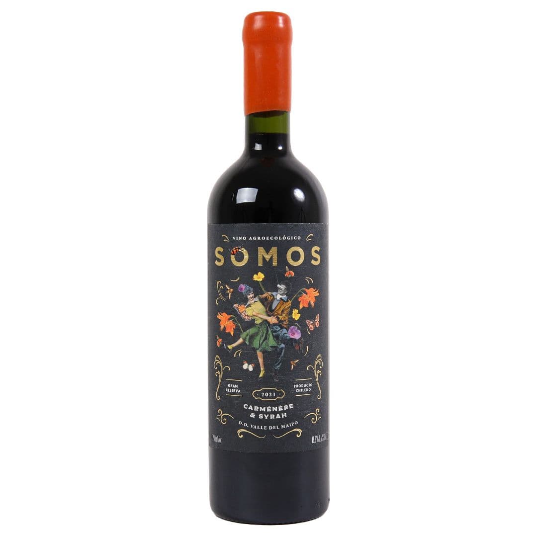 Vino Somos Gran Reserva Carmenere & Syrah 750cc_1