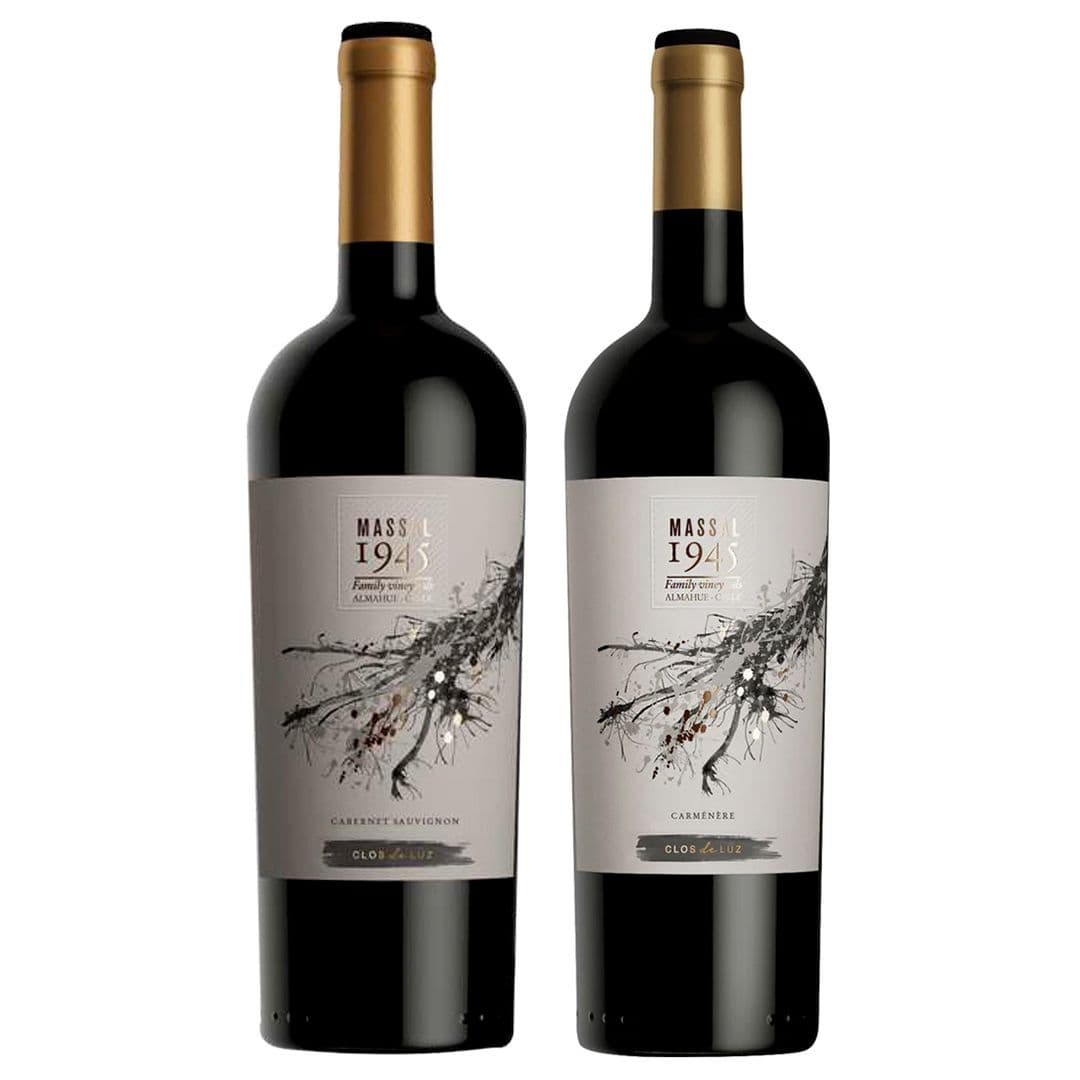DÚO CLOS DE LUZ N°1: 1x Vino Clos de Luz Massal 1945 Cabernet Sauvignon 750cc + Vino Clos de Luz Massal 1945 Carmenere 750cc_1