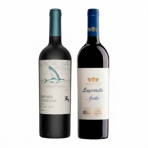 DUO ODFJELL - LAPOSTOLLE: 1x Vino Odfjell Capítulo Flying Fish Gran Reserva Ensamblaje 750cc + 1x Vino Lapostolle Apalta Blend 750cc_1