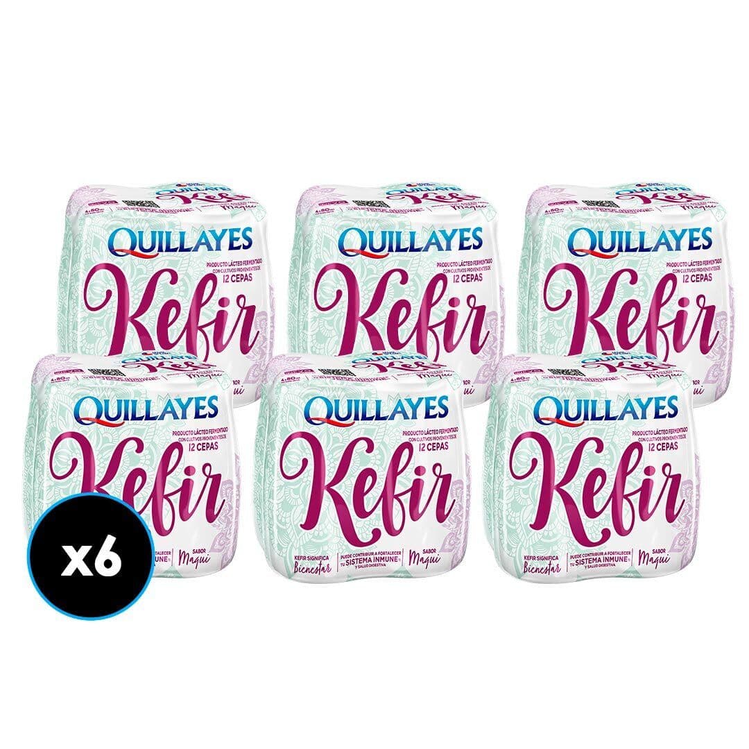 CAJA 6x Kéfir Maqui Quillayes 4 x 80 ml._1