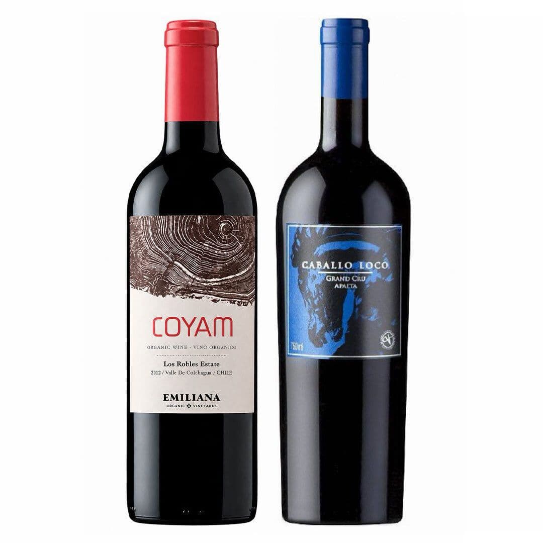 DUO COYAM - CABALLO LOCO: 1x Vino Orgánico COYAM 750cc + 1x Vino Caballo Loco Grand Cru Apalta 750cc_1