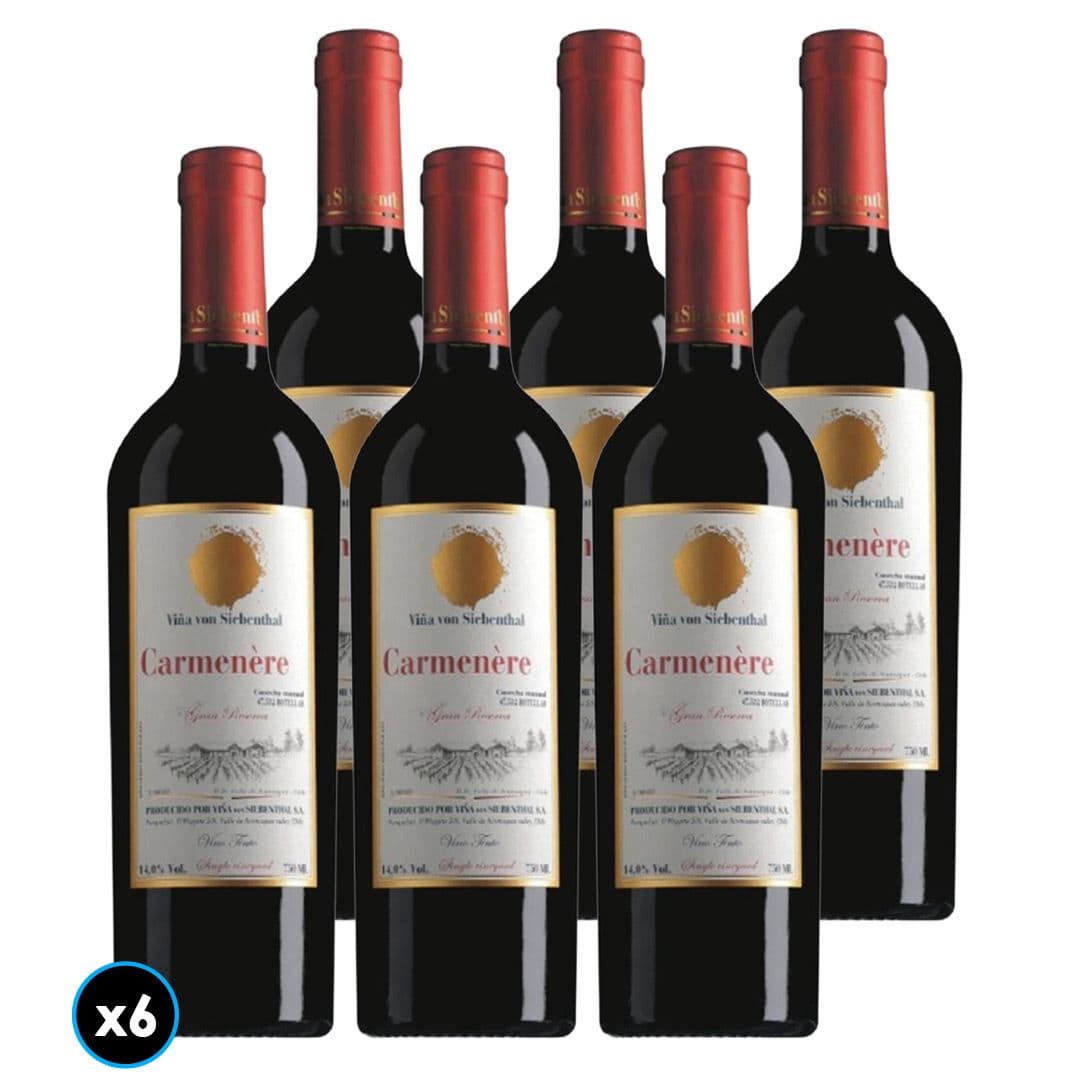 CAJA VON SIEBENTHAL GR (Carmenere): 6x Vino Von Siebenthal Gran Reserva Carmenere 750cc_1