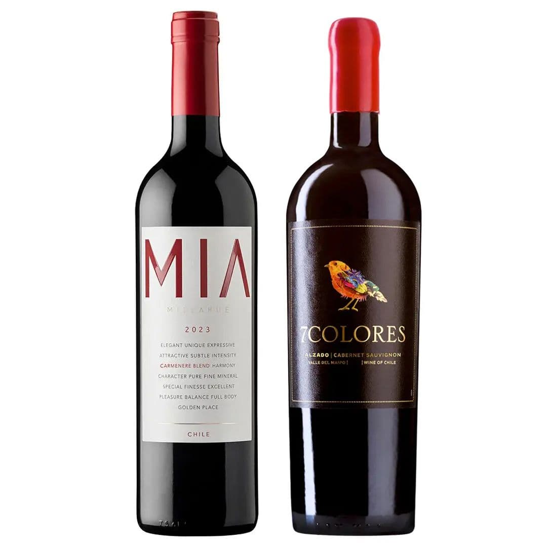 DUO VIK - 7 COLORES: 1x Vino VIK MIA Carmenere Blend (2023) 750cc + 1x Vino 7 Colores Icono Alzado Cabernet Sauvignon 750cc_1