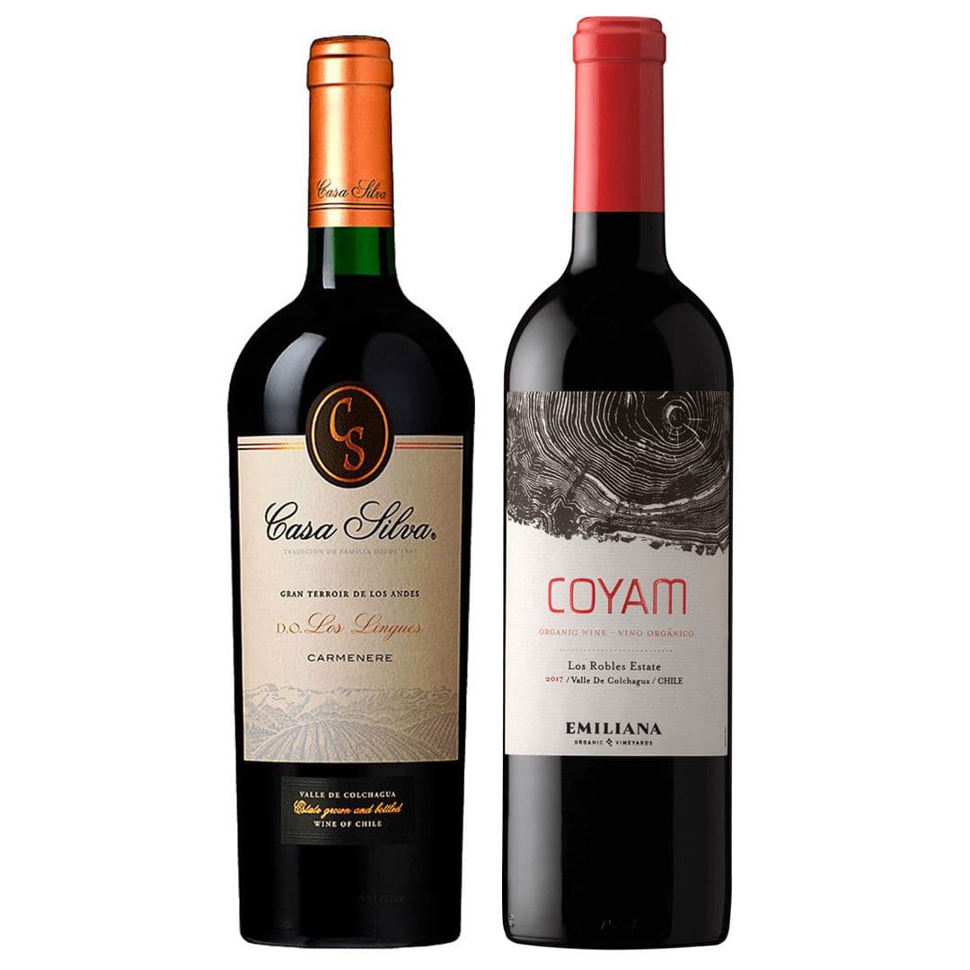 DUO COYAM - GRAN TERROIR (Carmenere): 1x Vino Orgánico COYAM 750cc + 1x Vino Casa Silva Gran Terroir Carmenere 750cc_1