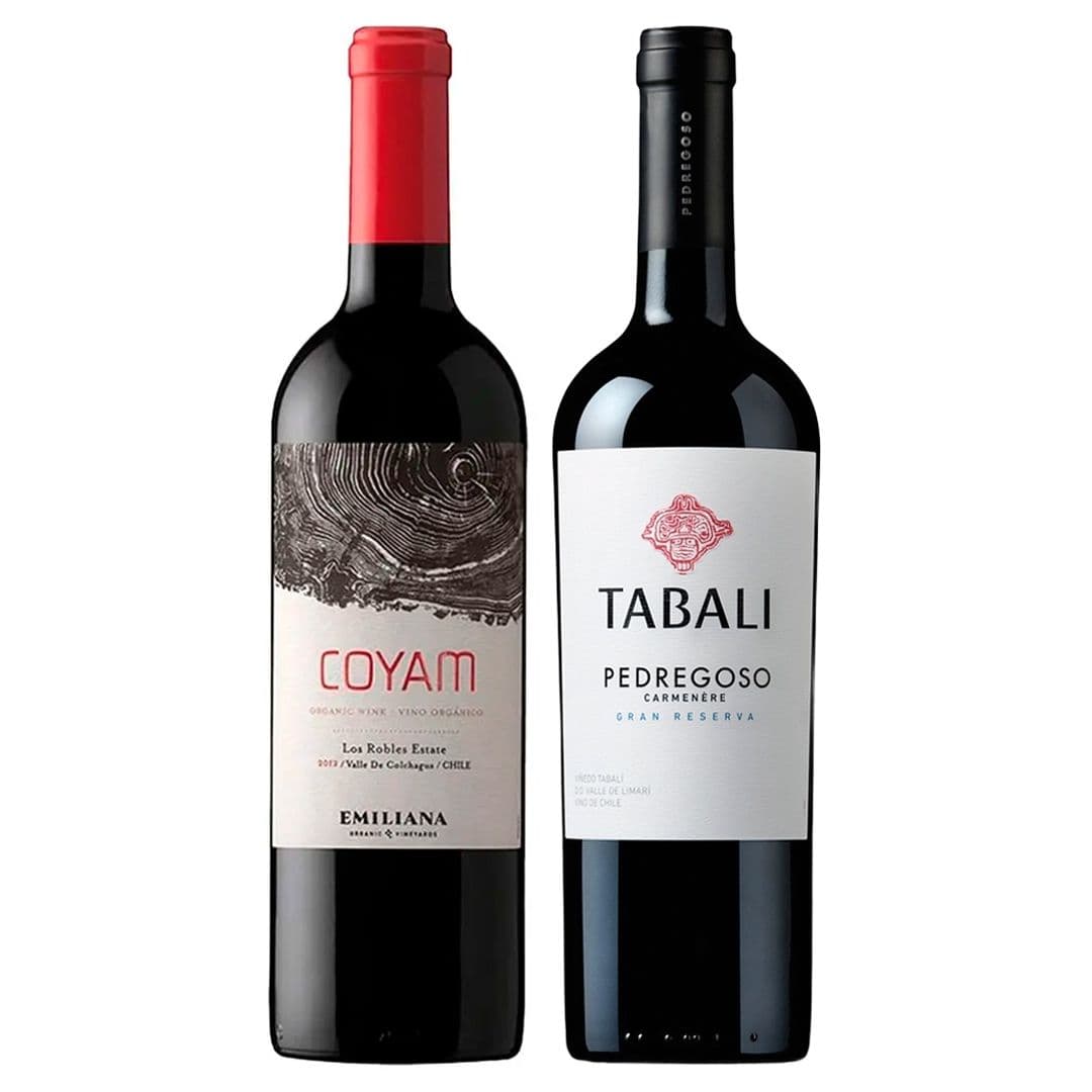 DUO COYAM TABALI N°2: 1x Vino Orgánico COYAM 750cc + 1x Vino Tabali Pedregoso Gran Reserva Carmenere 750cc_1