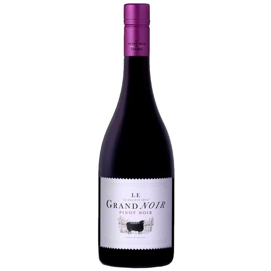 Vino Le Grand Noir Pinot Noir 750cc_1