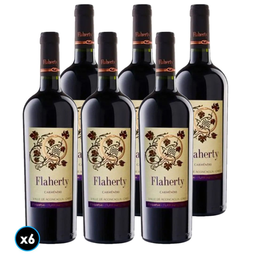 CAJA FLAHERTY (Carmenere): 6x Vino Flaherty Carmenere 750cc_1