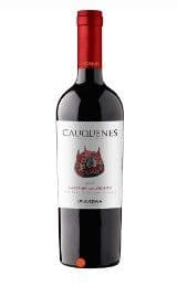 Vino Undurraga Cauquenes Estate Cabernet Sauvignon 750cc 13°alc._1
